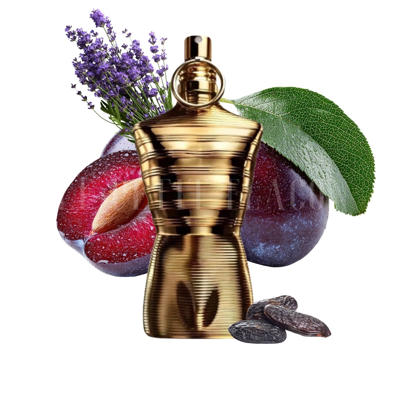 Jean Paul Gaultier Le Male Elixir Absolu
