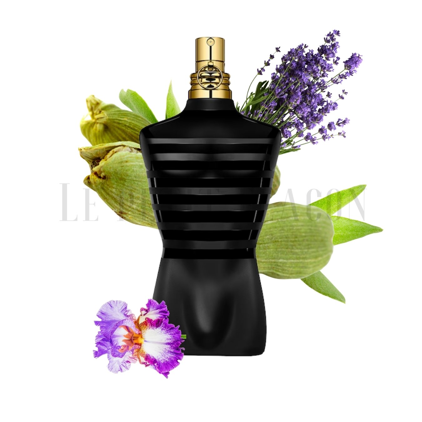 Jean Paul Gaultier Le Male Le Parfum