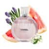 Chanel Chance Eau Tendre